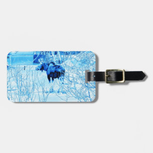Etiqueta De Bagagem Urban Moose