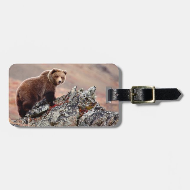 Etiqueta De Bagagem Urso Castanho Denali (Frente Horizontal)