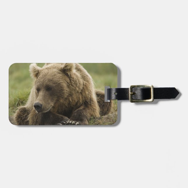 Etiqueta De Bagagem Urso castanho ou Urso Cinzeiro Costeiro, Urso (Frente Horizontal)
