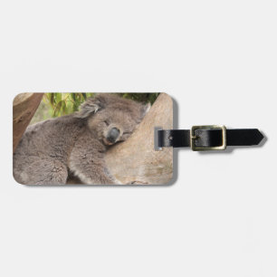 Etiqueta De Bagagem Urso de Koala bonito que descansa em uma árvore