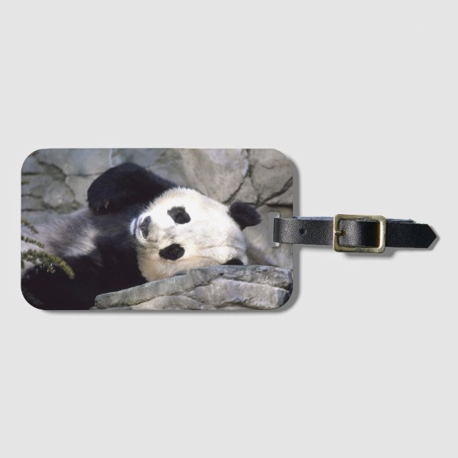 Etiqueta De Bagagem Urso de panda (Frente Horizontal)
