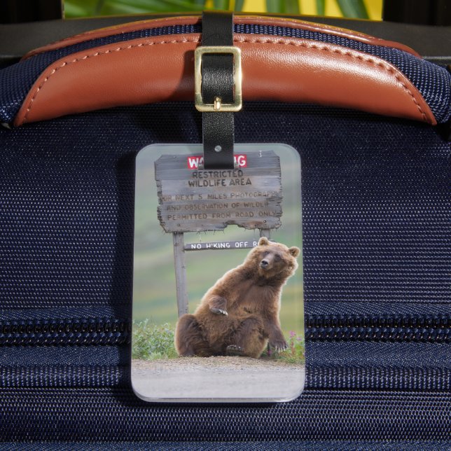 Etiqueta De Bagagem Urso Pardo Brinca Com Placa (Frente Insitu 2)