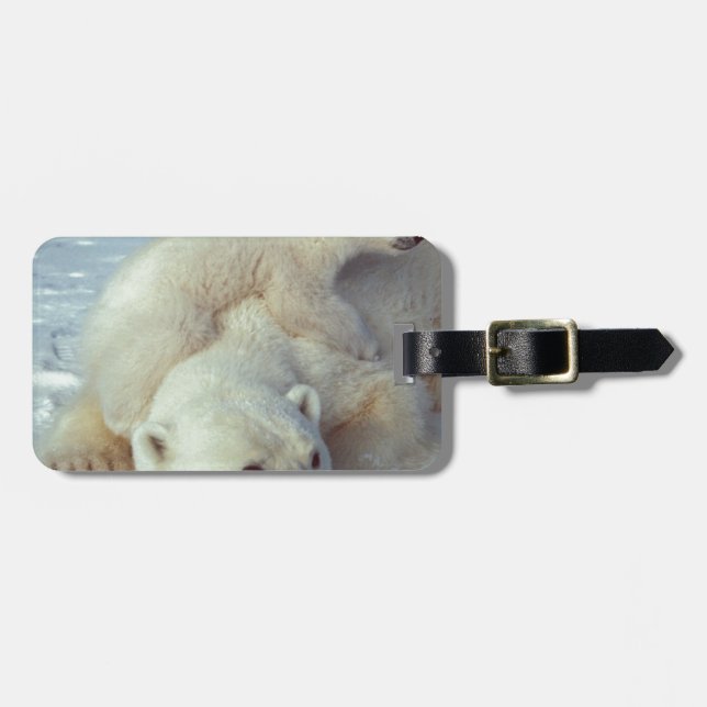 Etiqueta De Bagagem Urso Polar (Frente Horizontal)