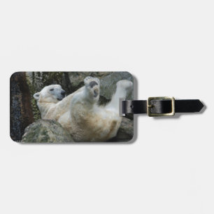 Etiqueta De Bagagem Urso polar