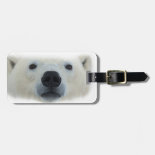 Etiqueta De Bagagem Urso Polar