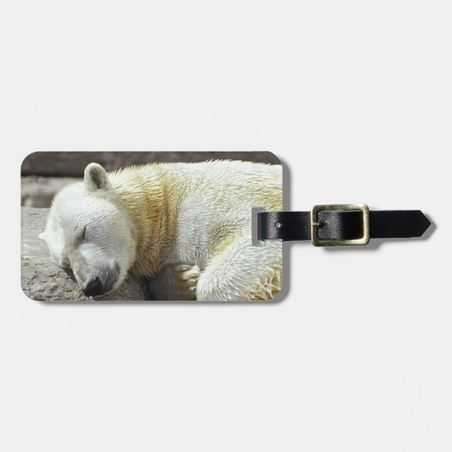 Etiqueta De Bagagem Urso polar do sono (Frente Horizontal)