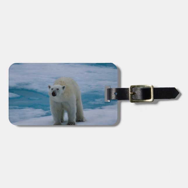 Etiqueta De Bagagem Urso polar no gelo de bloco (Frente Horizontal)