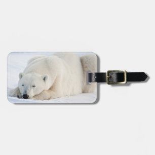 Etiqueta De Bagagem Urso polar no inverno