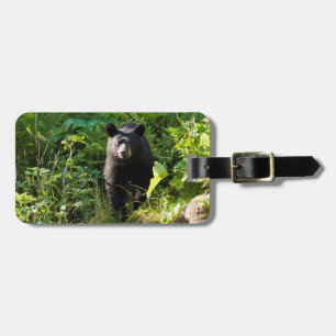 Etiqueta De Bagagem Urso Preto Curioso