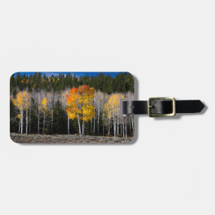 Etiqueta De Bagagem Utah, EUA. Árvores Aspen (Populus Tremuloides) 2