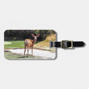 Etiqueta De Bagagem veado olhando para a natureza da câmera
