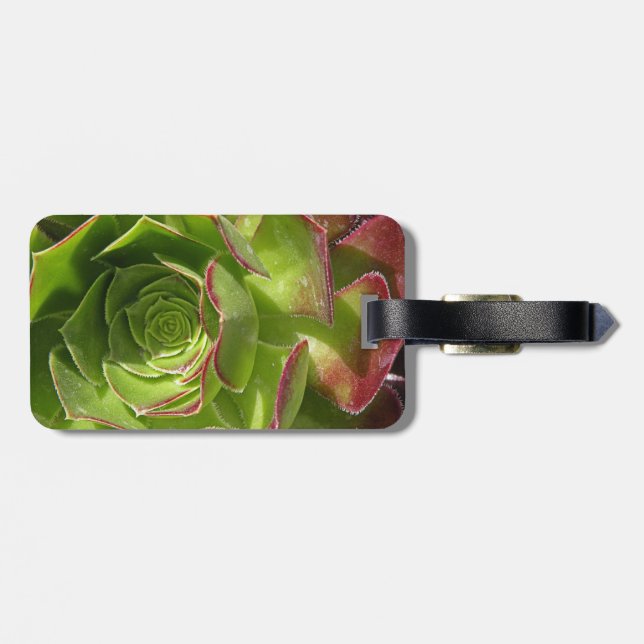 Etiqueta De Bagagem Verde (Traseira Horizontal)