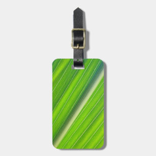 Etiqueta De Bagagem Verde natural listrado