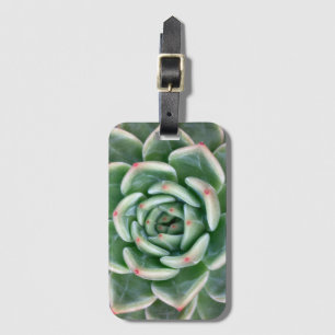 Etiqueta De Bagagem Vermelho verde Succulent derrubado