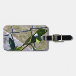 Etiqueta De Bagagem videira em uma cerca de vedação encontra caminho