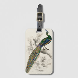 Etiqueta De Bagagem Vintage Peacock Natural History Impressão