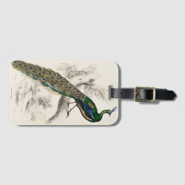 Etiqueta De Bagagem Vintage Peacock Natural History Impressão