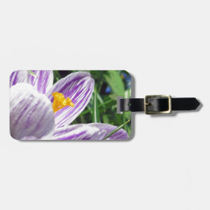 Etiqueta De Bagagem Violet Primavera Crocus