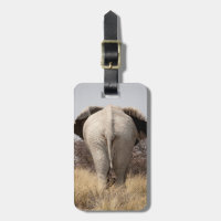 Vista traseira de elefante
