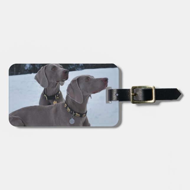 Etiqueta De Bagagem Weimeraner na neve (Frente Horizontal)