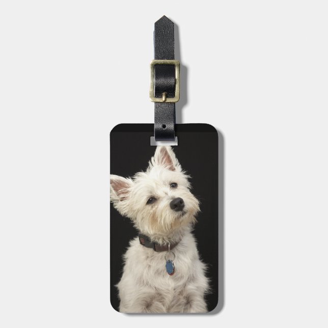 Etiqueta De Bagagem Westie (terrier ocidental das montanhas) com colar (Frente Vertical)