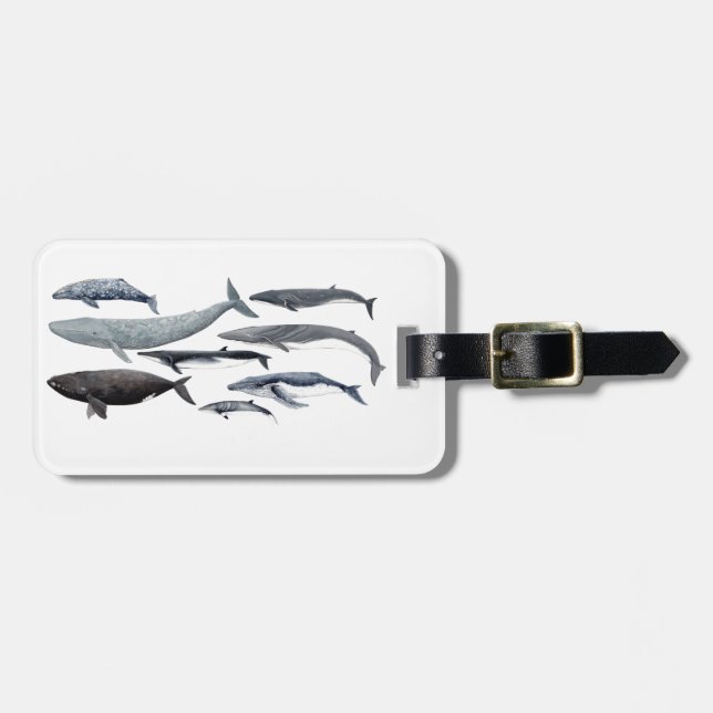 Etiqueta De Bagagem Whales and right whales (Frente Horizontal)