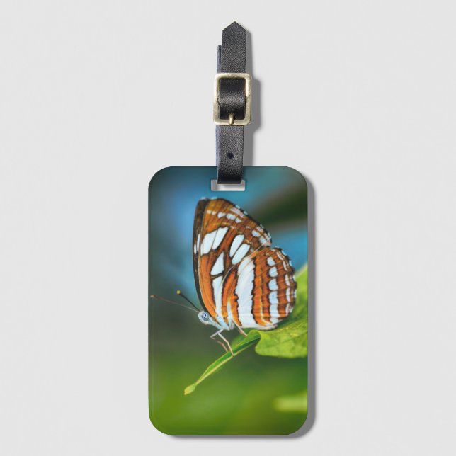 Etiqueta De Bagagem White and Orange Striped Butterfly (Frente Vertical)