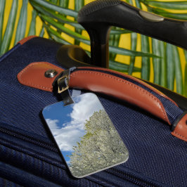 Etiqueta De Bagagem White Tree Blue Sky Clouds Photo