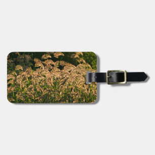 Etiqueta De Bagagem Wild Millet (Panicum Sp.) Cultivo Em Zonas úmidas