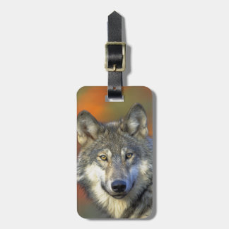 Etiqueta De Bagagem Wolf_2015_0302