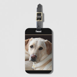 Etiqueta De Bagagem Yellow Labrador Retriever