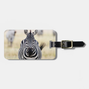 Etiqueta De Bagagem Zebra olhando para você