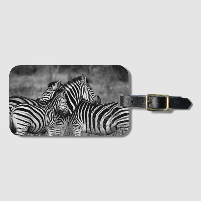 Etiqueta De Bagagem Zebras (Frente Horizontal)