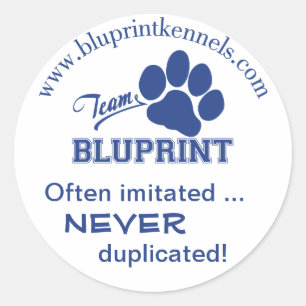 Etiqueta de BluPrint da equipe: Duplicação nunca