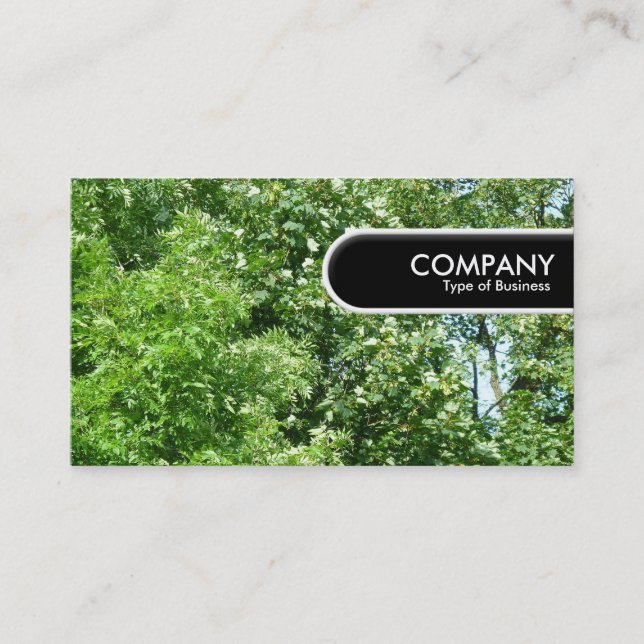 Etiqueta de Borda Arredondada - brisa de Verão (Frente)