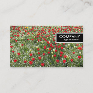 Etiqueta de Borda - Cama de Tulipas