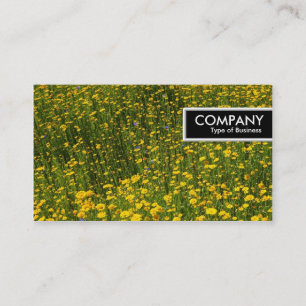 Etiqueta de Borda - Cama de Visitas Amarelas