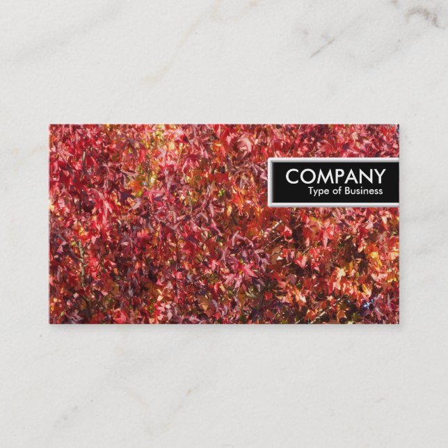 Etiqueta de borda - Folhas de outono (Frente)