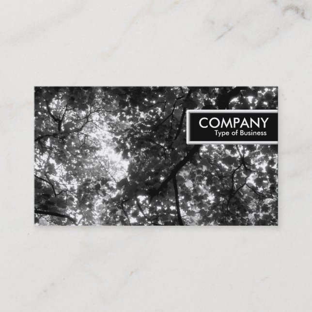 Etiqueta de Borda - Nas Árvores (Frente)