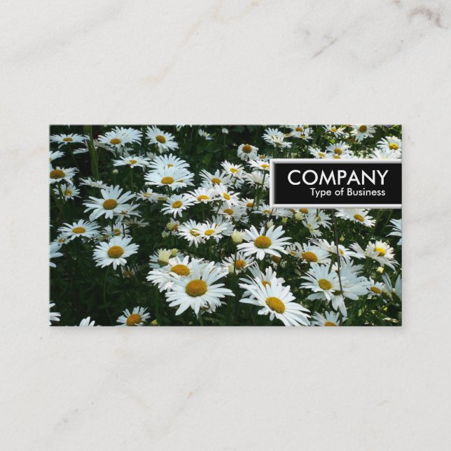 Etiqueta de Borda - Pontos (Frente)