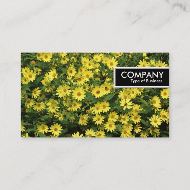 Etiqueta de Borda - Segundos Amarelos (Frente)