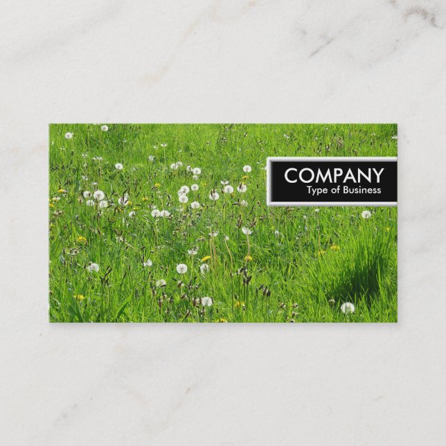 Etiqueta de Borda - Sombra de Dandelion 02 (Frente)