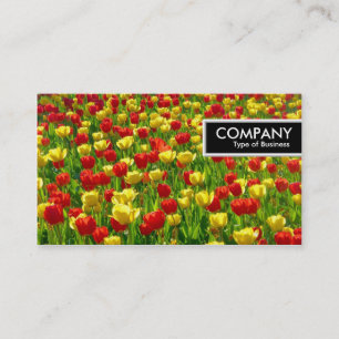 Etiqueta de Bordo - Mar de Tulipas