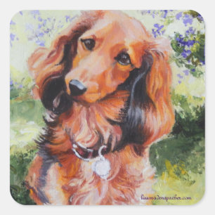 Etiqueta de cabelos compridos do Dachshund