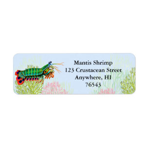 Etiqueta de Camarão Peacock Mantis