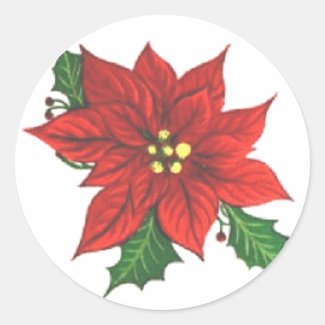 Etiqueta de Cartão de Saudação Poinsettia (Frente)