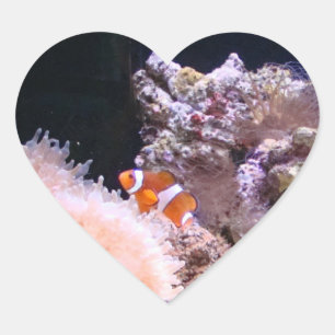 Etiqueta de Clownfish