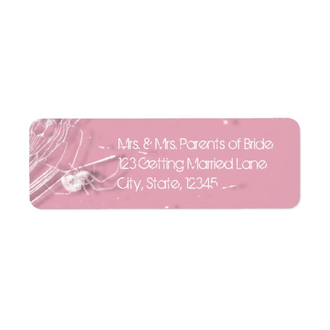 Etiqueta de Cobwebs e Aranhas Brancas (Frente)