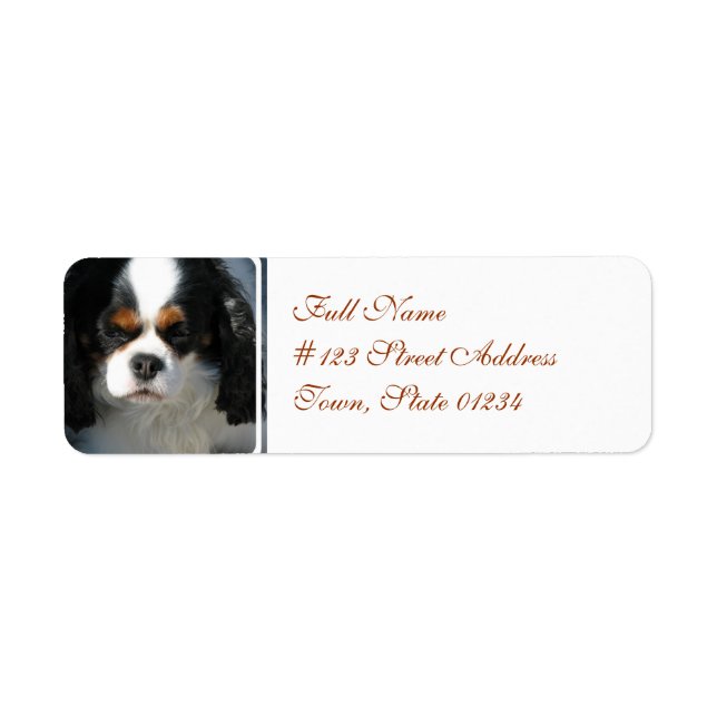 Etiqueta de Correio - 2 - Personalizada (Frente)