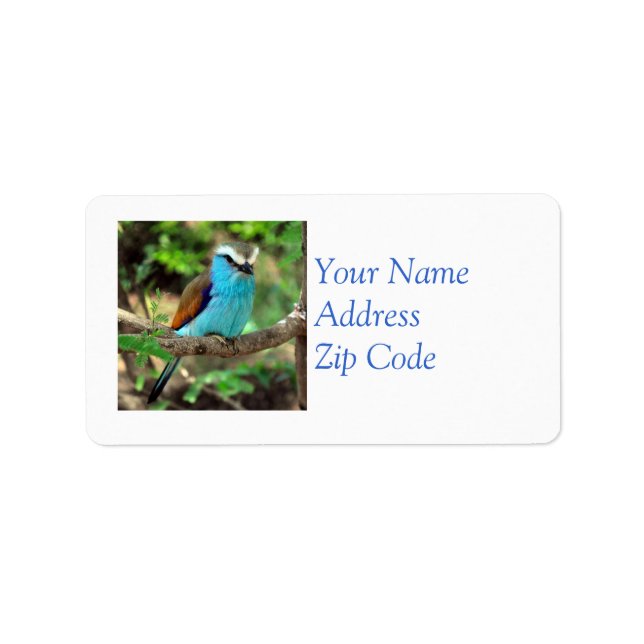 Etiqueta de Correio Bluebird (Frente)